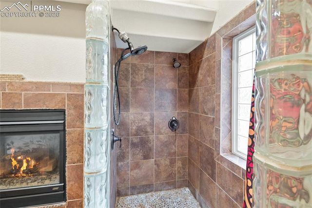 311 Panther Court, Woodland Park, CO 80863