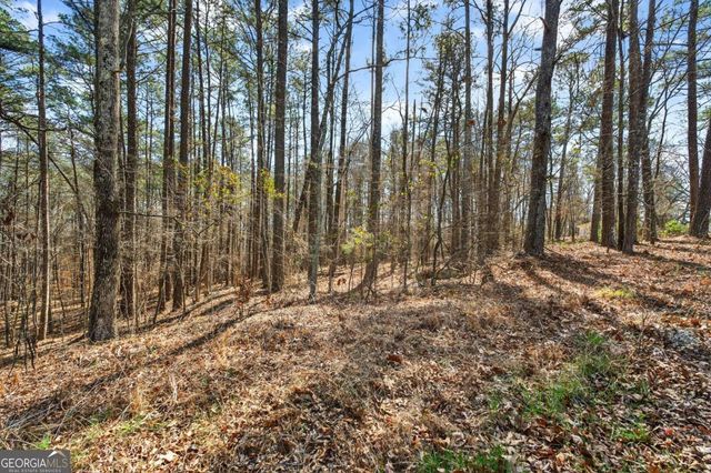 0 Northcutt Road, Fairburn, GA 30213