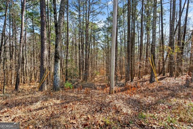 0 Northcutt Road, Fairburn, GA 30213