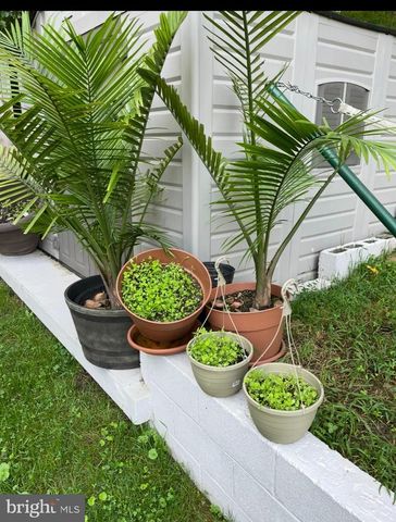 14629 SANDY RIDGE RD, Silver Spring, MD 20905