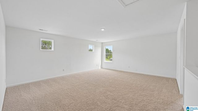 6600 LITTLE GOOSE DRIVE, Trussville, AL 35173