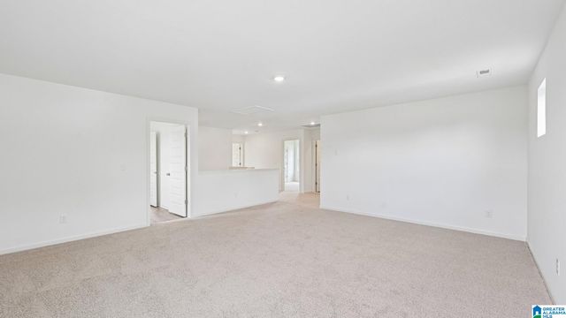 6600 LITTLE GOOSE DRIVE, Trussville, AL 35173