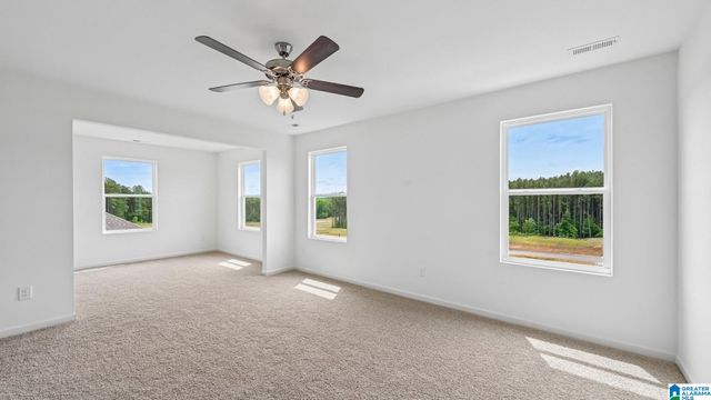 6600 LITTLE GOOSE DRIVE, Trussville, AL 35173