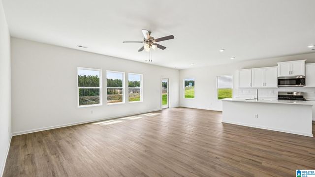 6600 LITTLE GOOSE DRIVE, Trussville, AL 35173