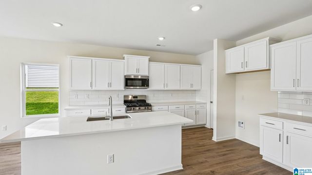 6600 LITTLE GOOSE DRIVE, Trussville, AL 35173