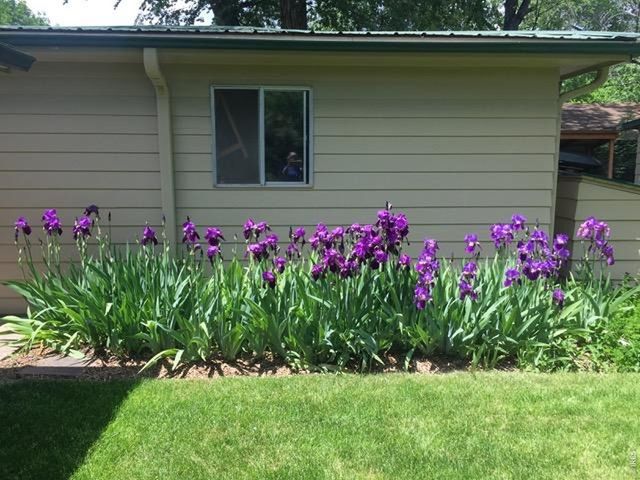 3400 Orchard Dr, Laporte, CO 80535