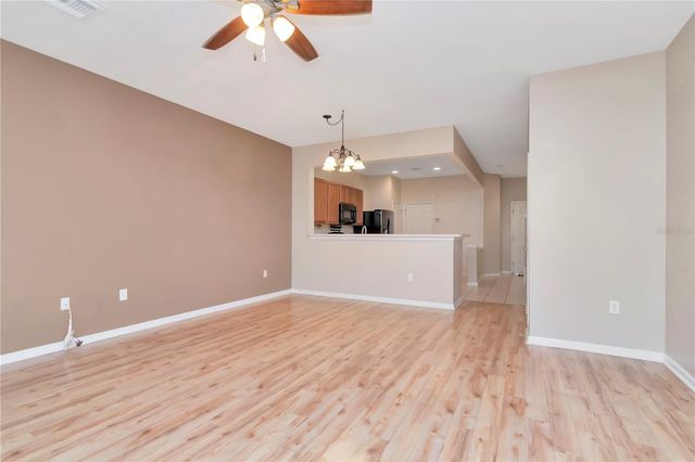 10132 PINK PALMATA COURT, Riverview, FL 33578