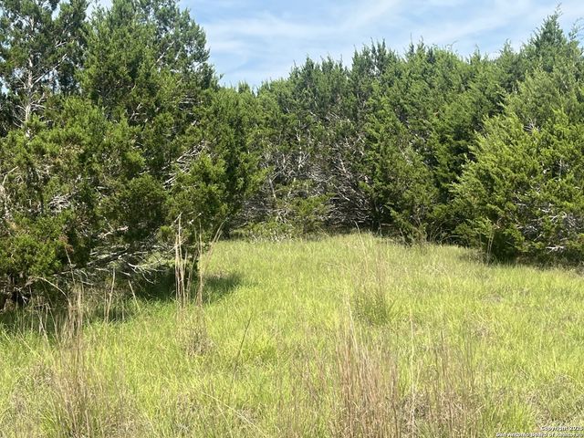 1809 desiree, Canyon Lake, TX 78133