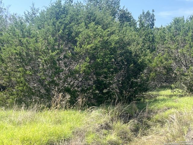 1809 desiree, Canyon Lake, TX 78133