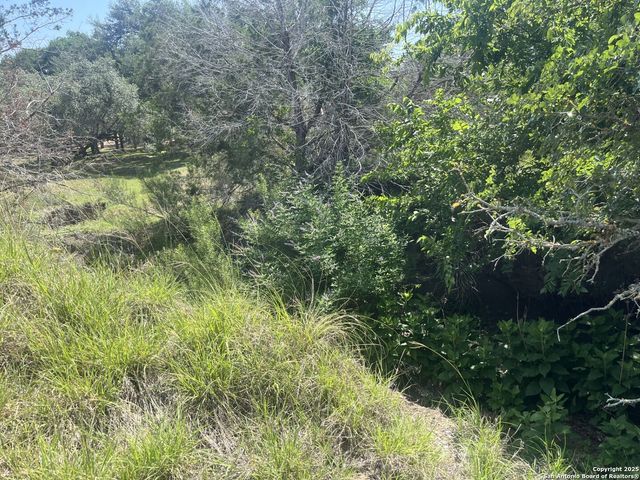 1809 desiree, Canyon Lake, TX 78133