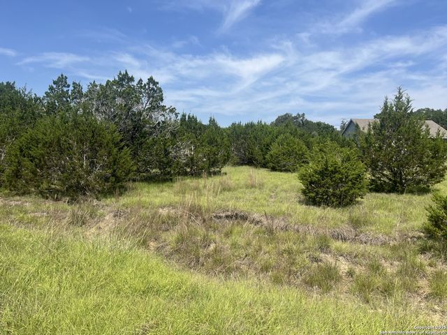 1809 desiree, Canyon Lake, TX 78133