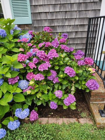 104 Wayside Drive, Brewster, MA 02631