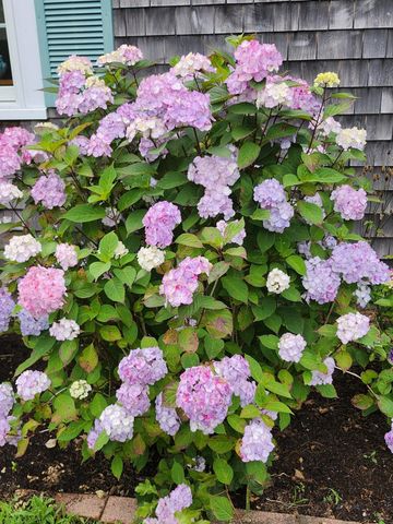 104 Wayside Drive, Brewster, MA 02631