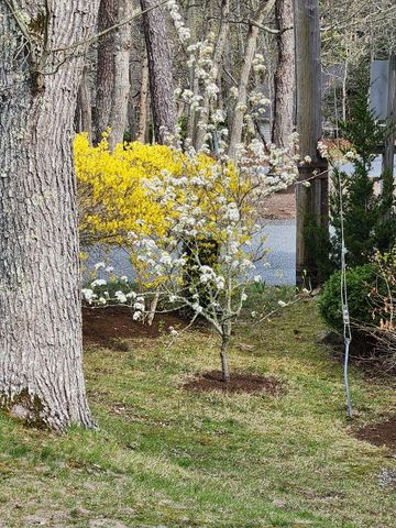 104 Wayside Drive, Brewster, MA 02631