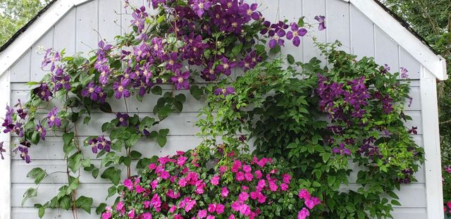 104 Wayside Drive, Brewster, MA 02631