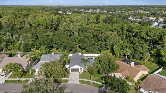 12008 STEPPINGSTONE BOULEVARD, Tampa, FL 33635