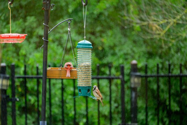 11704 Via Grande DR, Austin, TX 78739