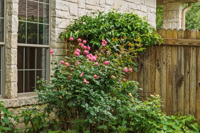 11704 Via Grande DR, Austin, TX 78739