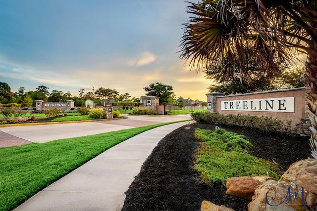 12322 Scherer Woods Court, Tomball, TX 77377