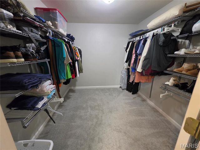 2040 Reserve Walk Way, Belleville, IL 62220