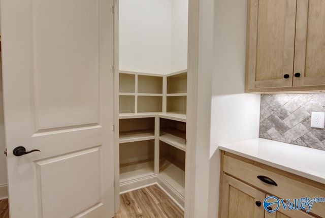 12358 Narayan Street, Madison, AL 35756