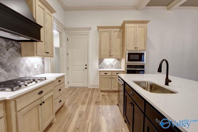 12358 Narayan Street, Madison, AL 35756