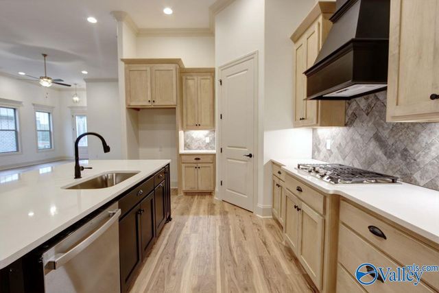 12358 Narayan Street, Madison, AL 35756