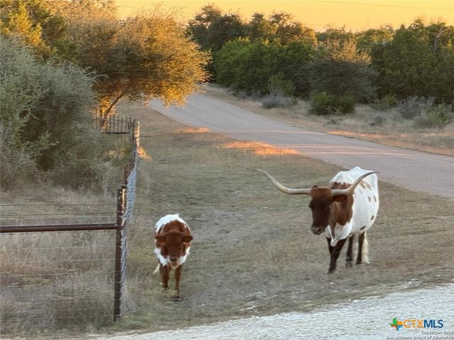 1041 Homestead Ridge, New Braunfels, TX 78132
