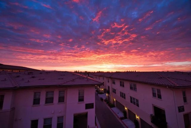 1068 Bigleaf Place 402, San Jose, CA 95131