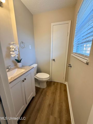 7146 W Carrolton Drive, Southaven, MS 38671