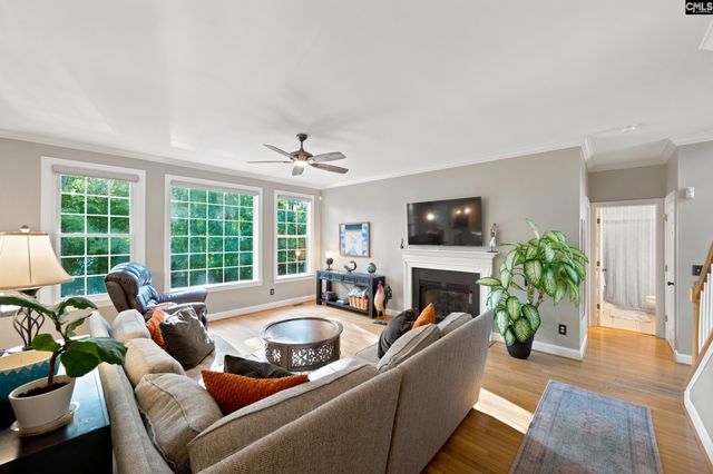 4 Bamboo Grove Court, Chapin, SC 29036