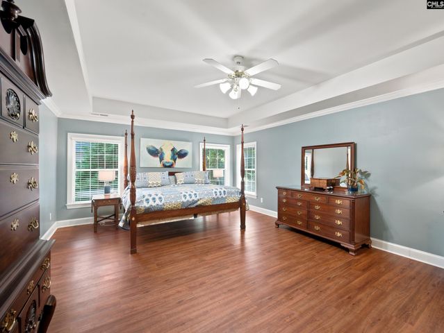 4 Bamboo Grove Court, Chapin, SC 29036