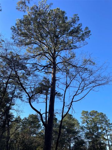 13034 Hackberrry Drive, Plantersville, TX 77363