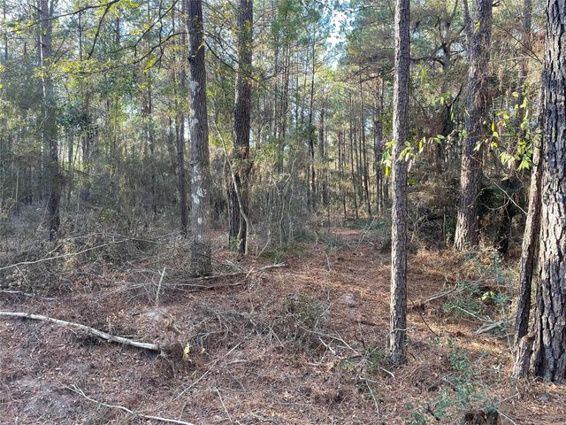 13034 Hackberrry Drive, Plantersville, TX 77363