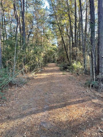 13034 Hackberrry Drive, Plantersville, TX 77363