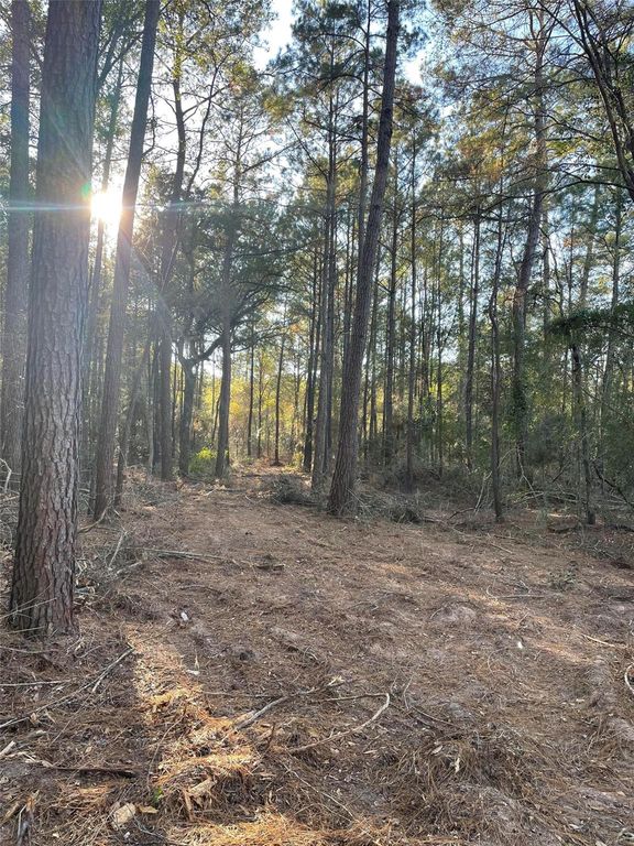 13034 Hackberrry Drive, Plantersville, TX 77363