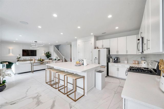 32203 MAHOGANY VALLEY DRIVE, Wesley Chapel, FL 33543