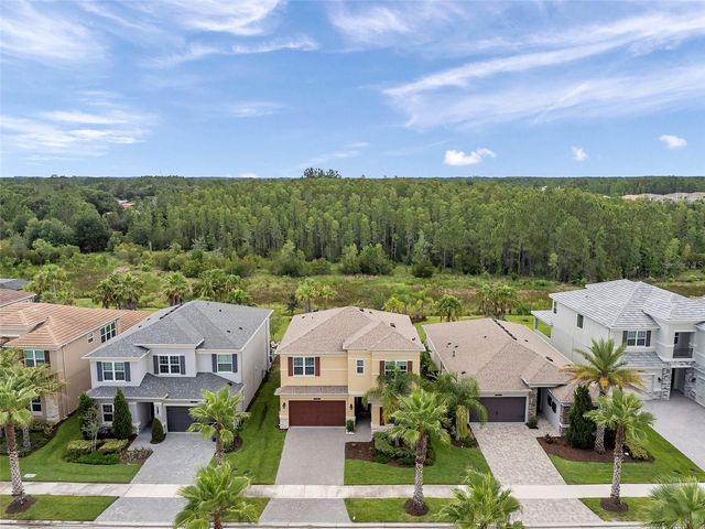 32203 MAHOGANY VALLEY DRIVE, Wesley Chapel, FL 33543
