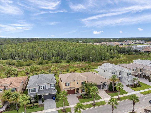 32203 MAHOGANY VALLEY DRIVE, Wesley Chapel, FL 33543