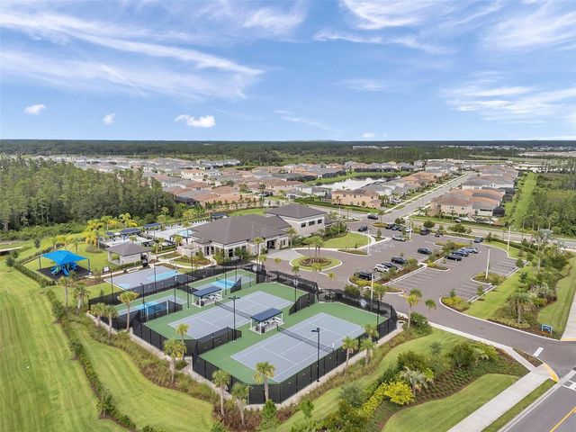 32203 MAHOGANY VALLEY DRIVE, Wesley Chapel, FL 33543
