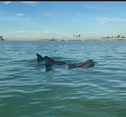 6627 TOWER DRIVE, Hudson, FL 34667