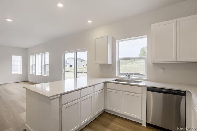 1710 Drumming Drive, Windsor, CO 80550