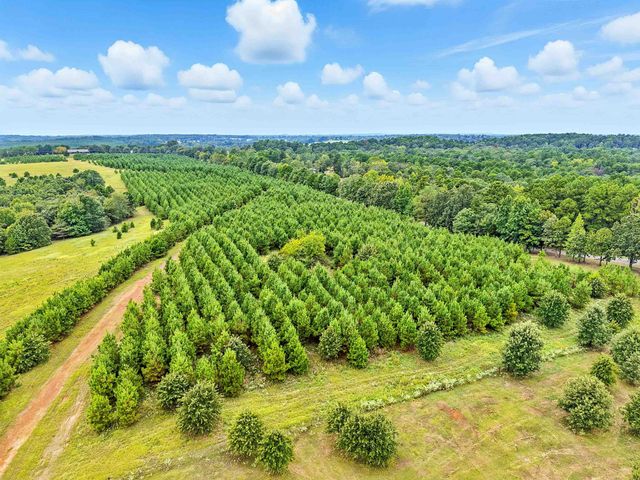 179 springlake dr, Gladewater, TX 75647