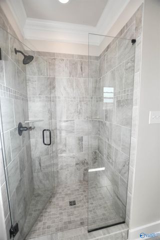 119 Innocent Trail, Madison, AL 35756