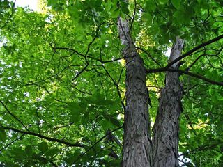 0 Mt Airy Farm Road, Gretna, VA 24557