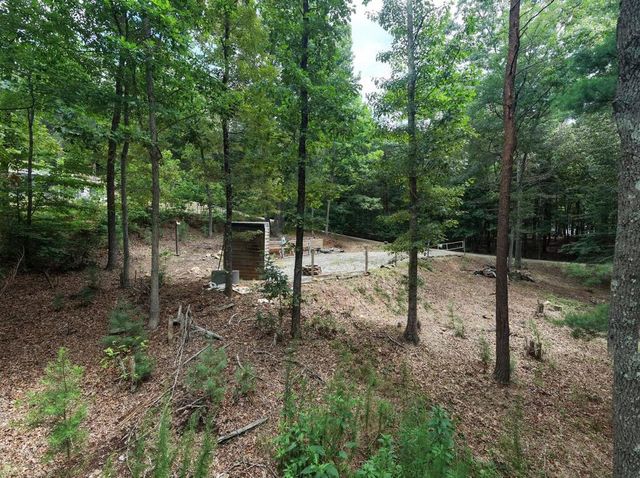 155 Atkins Trail, Blairsville, GA 30512