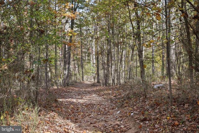 96 CASTLE MOUNTAIN RD, Castleton, VA 22716