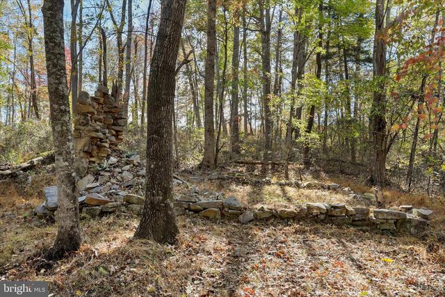 96 CASTLE MOUNTAIN RD, Castleton, VA 22716