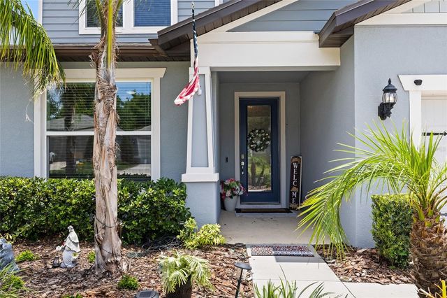2781 DOLORES HOME AVENUE, Valrico, FL 33594