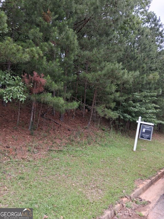 0 Bellevue Southwest Drive, Conyers, GA 30094